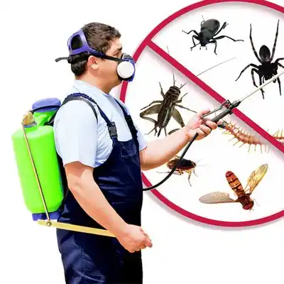 pest control Loup City
